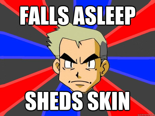 Falls Asleep Sheds Skin - Falls Asleep Sheds Skin  Pokemon Logic