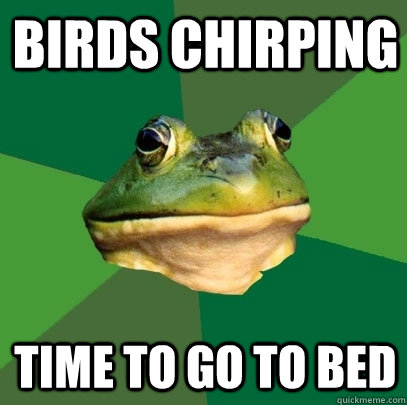 birds chirping time to go to bed  Foul Bachelor Frog