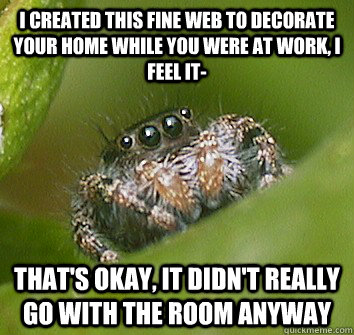 I created this fine web to decorate your home while you were at work, I feel it- That's okay, it didn't really go with the room anyway - I created this fine web to decorate your home while you were at work, I feel it- That's okay, it didn't really go with the room anyway  Misunderstood Spider