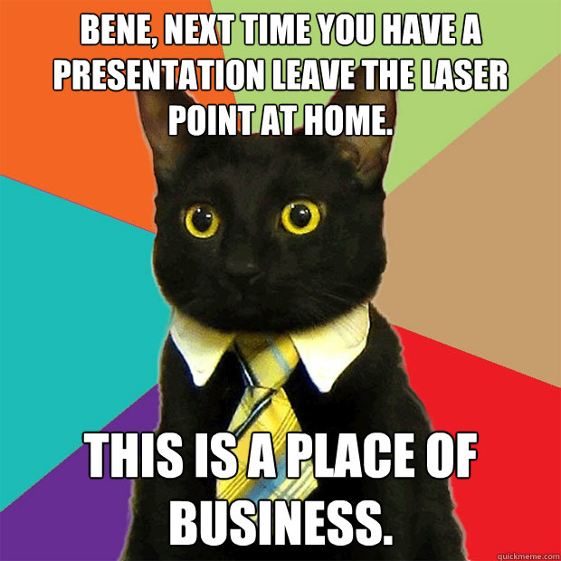 bene, next time you have a presentation leave the laser point at home. this is a place of business.  Business Cat