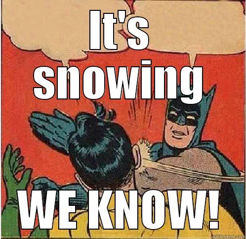 IT'S SNOWING WE KNOW! Batman Slapping Robin