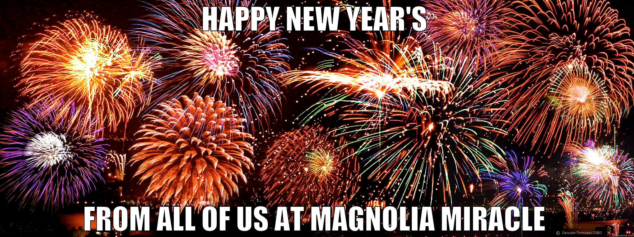 Mag Miracle NYE - HAPPY NEW YEAR'S FROM ALL OF US AT MAGNOLIA MIRACLE Misc