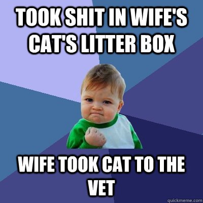 took shit in wife's cat's litter box wife took cat to the vet  Success Kid