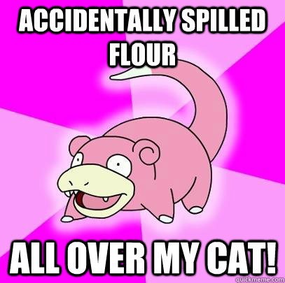 Accidentally spilled flour All over my cat!  Slowpoke