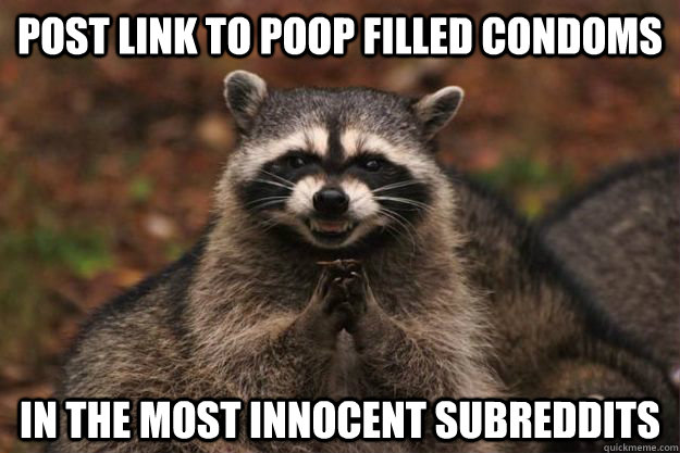 Post link to poop filled condoms In the most innocent subreddits  Evil Plotting Raccoon