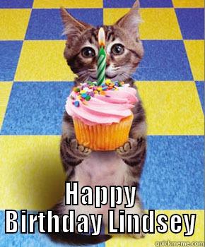  HAPPY BIRTHDAY LINDSEY Misc