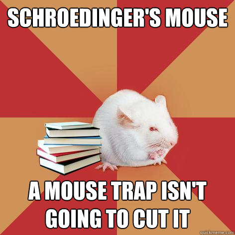 Schroedinger's Mouse A mouse trap isn't going to cut it  Science Major Mouse