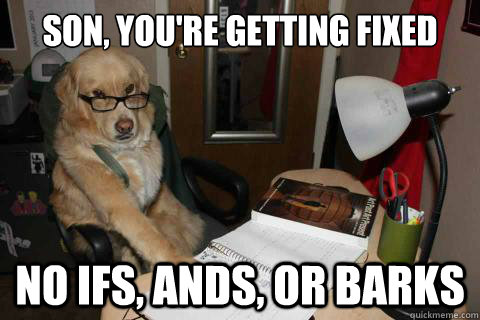 Son, You're getting fixed today No ifs, ands, or barks  