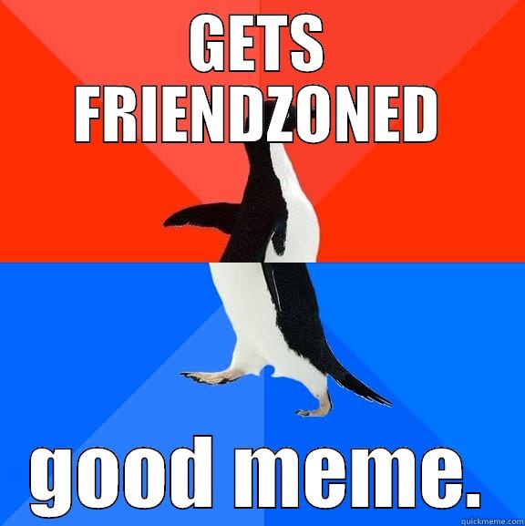 GETS FRIENDZONED GOOD MEME. Socially Awesome Awkward Penguin