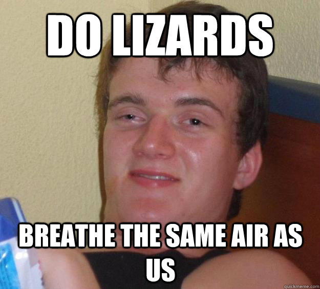 Do lizards breathe the same air as us  10 Guy