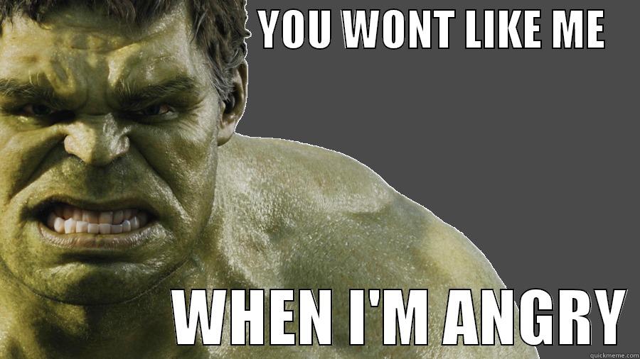 Hulk Angry -                               YOU WONT LIKE ME                    WHEN I'M ANGRY Misc