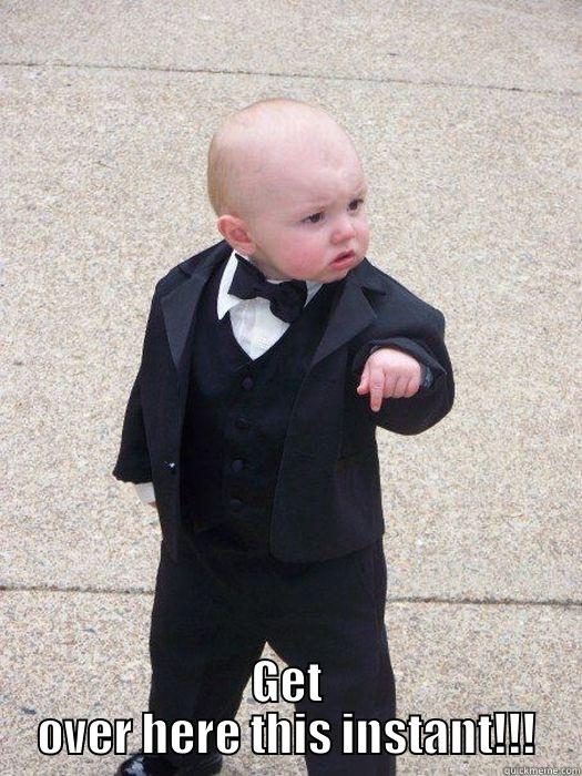   -   GET OVER HERE THIS INSTANT!!! Baby Godfather