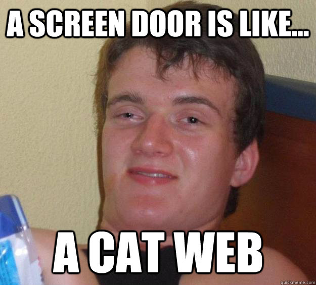 A screen door is like... a cat web  10 Guy