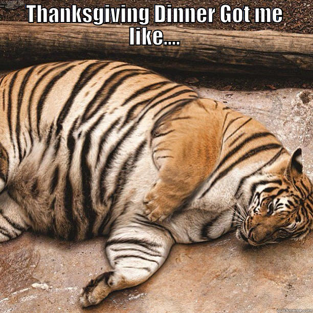 THANKSGIVING DINNER GOT ME LIKE....  Misc