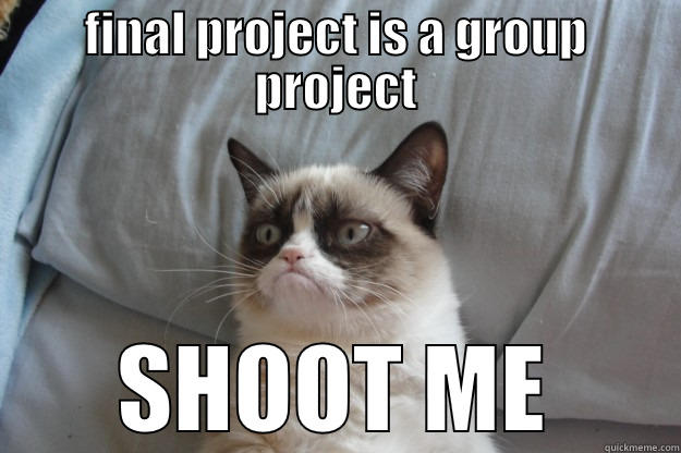 FINAL PROJECT IS A GROUP PROJECT SHOOT ME Grumpy Cat