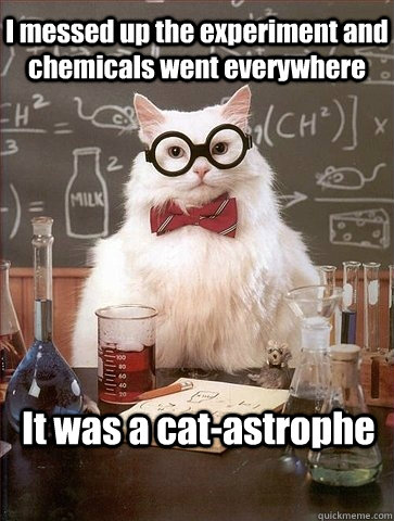 I messed up the experiment and chemicals went everywhere It was a cat-astrophe - I messed up the experiment and chemicals went everywhere It was a cat-astrophe  Chemistry Cat