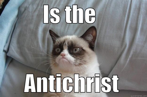 IS THE  ANTICHRIST Grumpy Cat