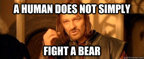 a human does not simply fight a bear - a human does not simply fight a bear  One Does Not Simply