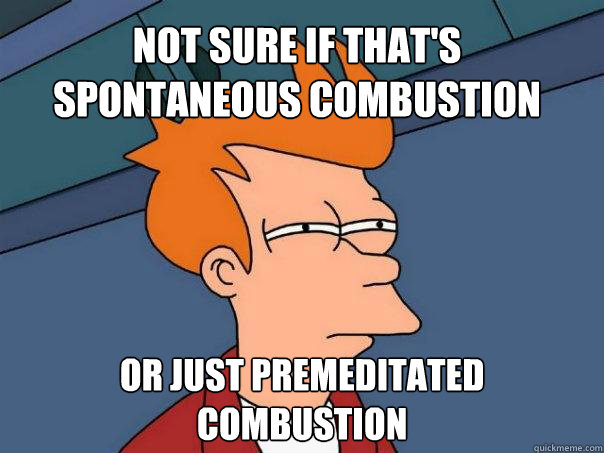 Not sure if that's spontaneous combustion Or just premeditated combustion - Not sure if that's spontaneous combustion Or just premeditated combustion  Futurama Fry