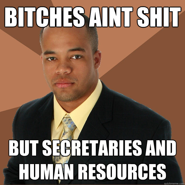 Bitches aint shit but secretaries and human resources  Successful Black Man