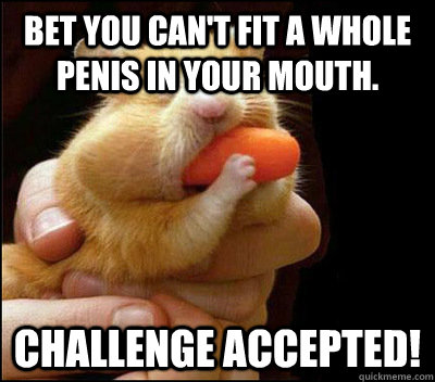 Bet you can't fit a whole penis in your mouth. Challenge accepted!  