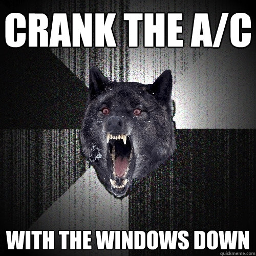 Crank the A/C With the windows down  Insanity Wolf