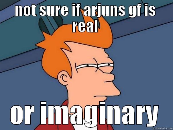 NOT SURE IF ARJUNS GF IS REAL OR IMAGINARY Futurama Fry