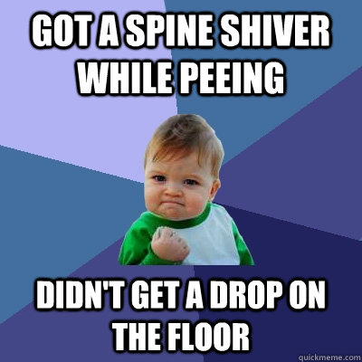 Got a spine shiver while peeing Didn't get a drop on the floor  Success Kid