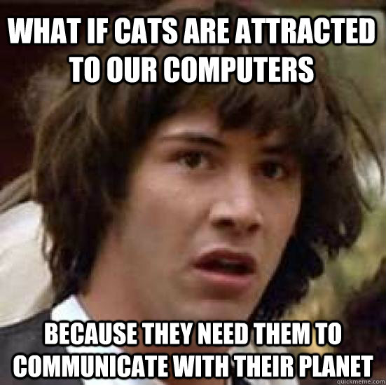 What if cats are attracted to our computers because they need them to communicate with their planet  conspiracy keanu