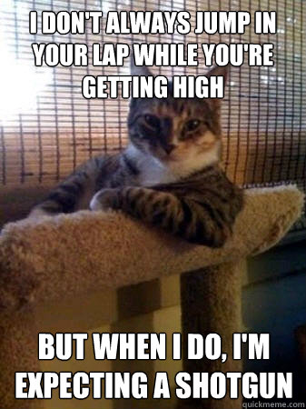 I don't always jump in your lap while you're getting high but when I do, I'm expecting a shotgun  The Most Interesting Cat in the World