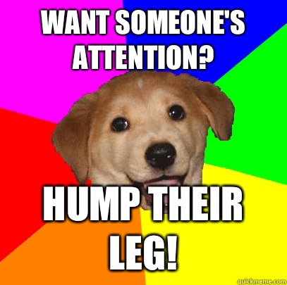 Want someone's attention? Hump their leg!  Advice Dog