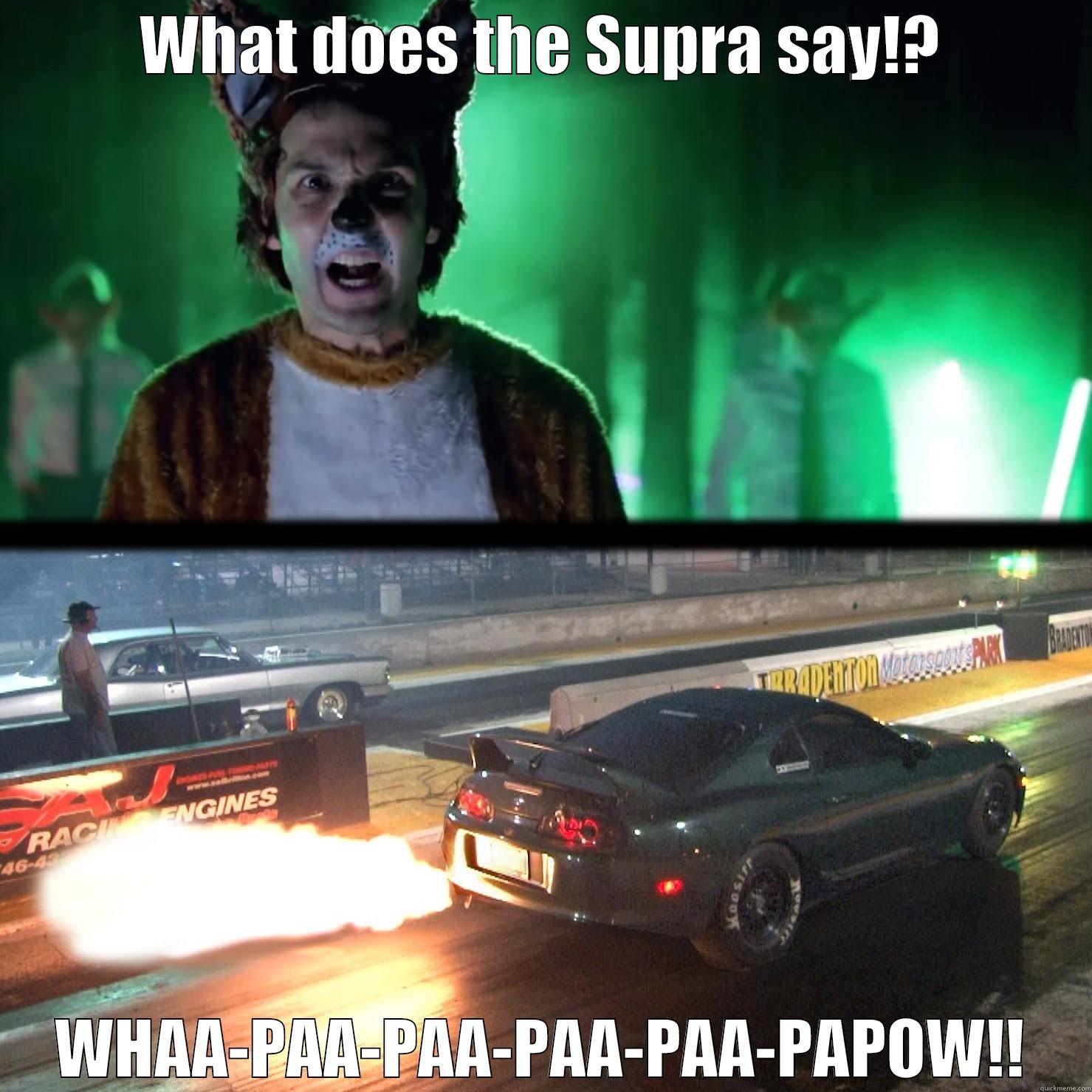 What does the Supra say!? - WHAT DOES THE SUPRA SAY!? WHAA-PAA-PAA-PAA-PAA-PAPOW!! Misc