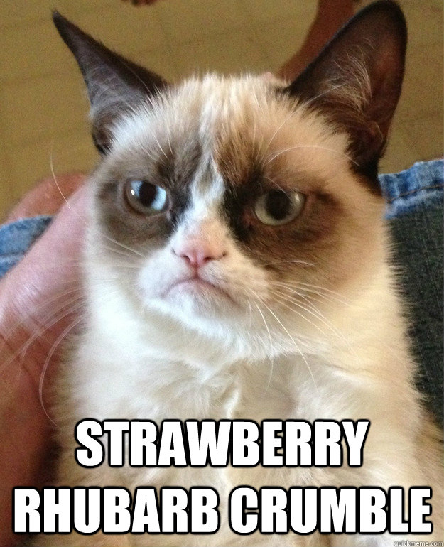  Strawberry rhubarb crumble   Grumpy Cat