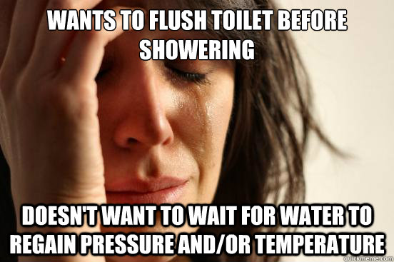 Wants to flush toilet before showering Doesn't want to wait for water to regain pressure and/or temperature - Wants to flush toilet before showering Doesn't want to wait for water to regain pressure and/or temperature  First World Problems