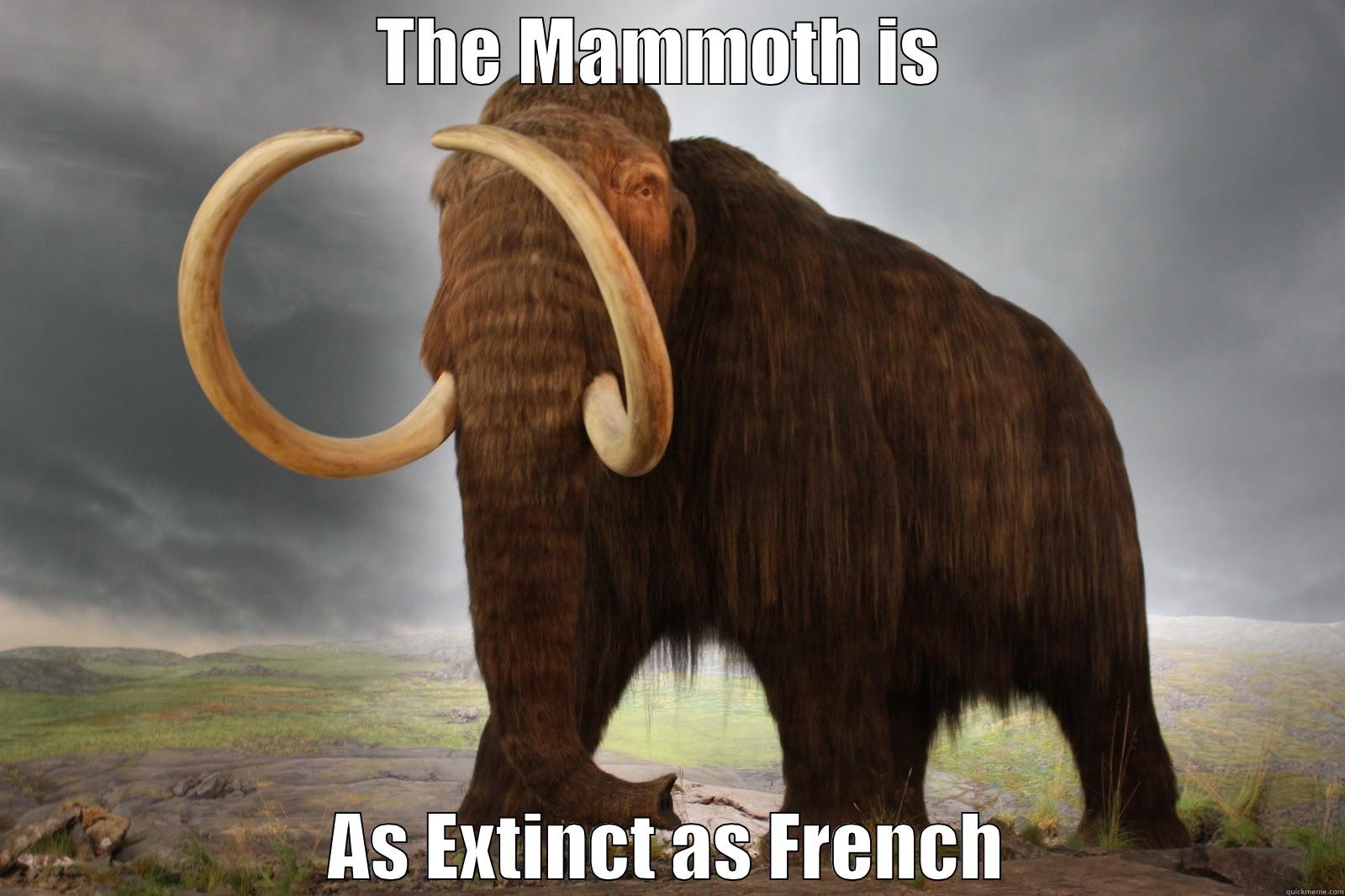 THE MAMMOTH IS  AS EXTINCT AS FRENCH Misc