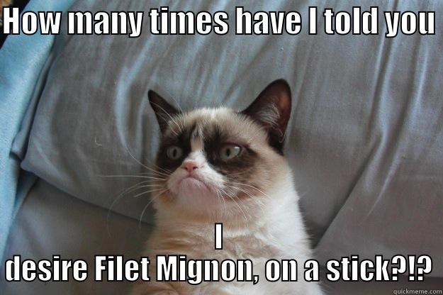 HOW MANY TIMES HAVE I TOLD YOU I DESIRE FILET MIGNON, ON A STICK?!? Grumpy Cat