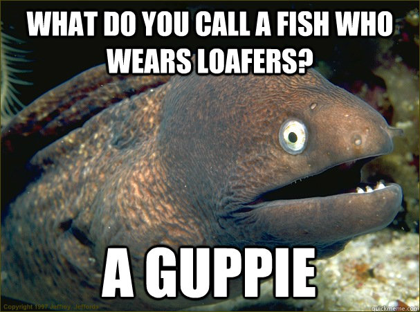 What do you call a fish who wears loafers? A guppie  Bad Joke Eel