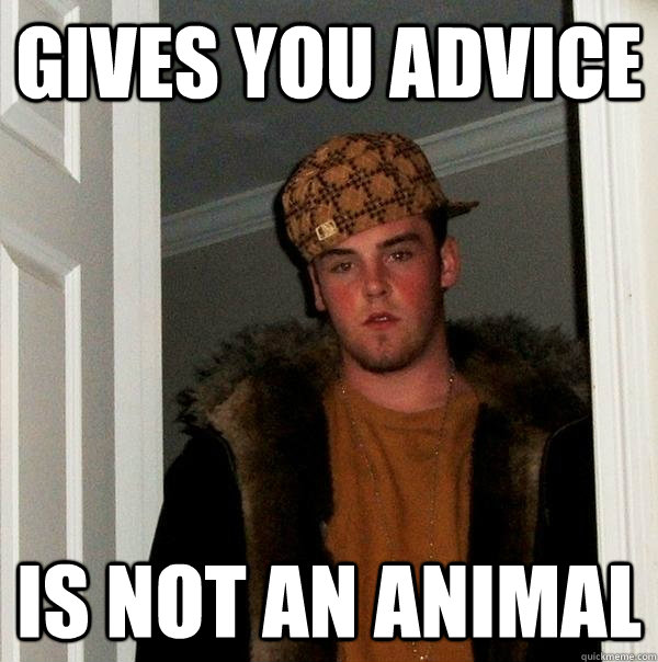 Gives you advice is not an animal  Scumbag Steve