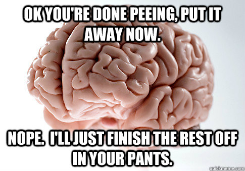 Ok you're done peeing, put it away now. Nope.  I'll just finish the rest off in your pants.   Scumbag Brain