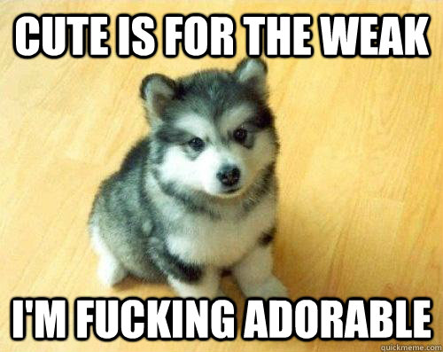 Cute is for the weak I'm fucking adorable  Baby Courage Wolf