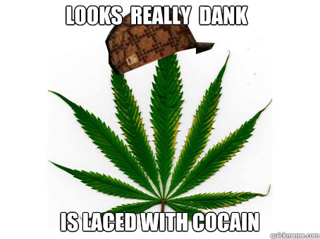 looks  really  dank is laced with cocain  Scumbag Marijuana