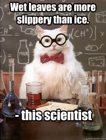 Wet leaves are more slippery than ice. - this scientist  Chemistry Cat