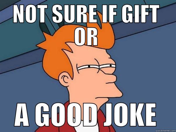 NOT SURE IF GIFT OR A GOOD JOKE Futurama Fry