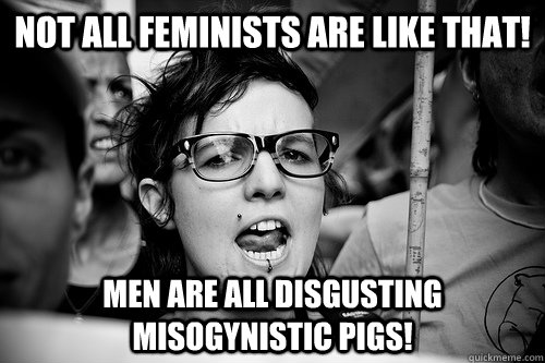 Not all feminists are like that! men are all disgusting misogynistic pigs!  Hypocrite Feminist