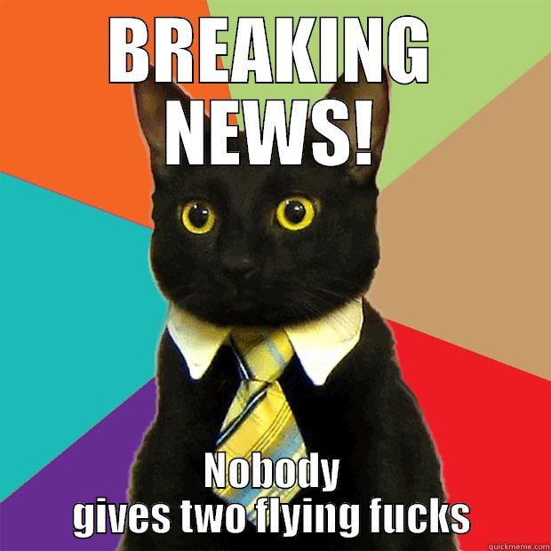 Flying Fuck - BREAKING NEWS! NOBODY GIVES TWO FLYING FUCKS Business Cat