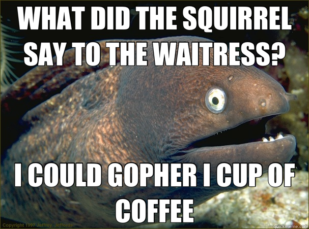 WHAT DID THE SQUIRREL SAY TO THE WAITRESS? I COULD GOPHER I CUP OF COFFEE - WHAT DID THE SQUIRREL SAY TO THE WAITRESS? I COULD GOPHER I CUP OF COFFEE  Bad Joke Eel