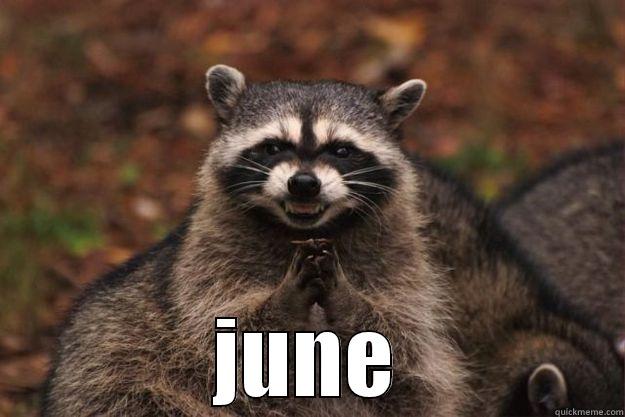  JUNE Evil Plotting Raccoon