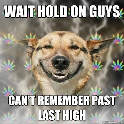 wait hold on guys can't remember past last high  Stoner Dog