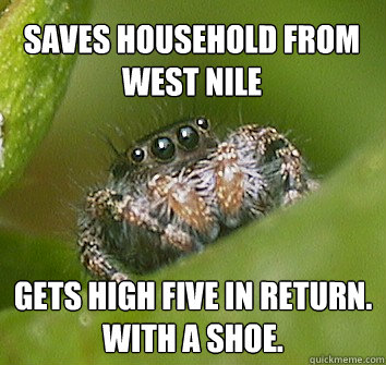 Saves Household from west nile gets high five in return. with a shoe.  Misunderstood Spider