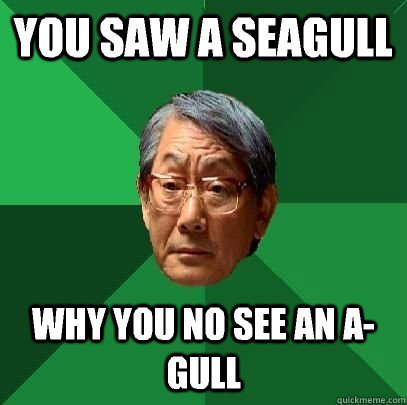 You saw a seagull Why you no see an A-gull  High Expectations Asian Father